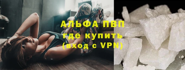индика Балабаново