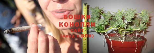 индика Балабаново