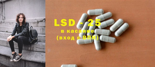 прущие грибы Баксан