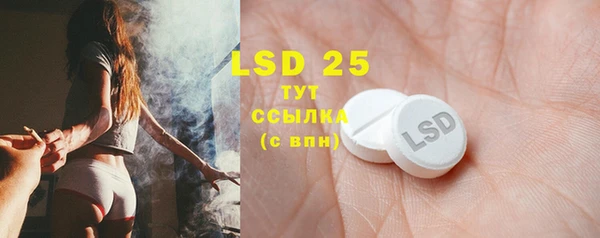 индика Балабаново