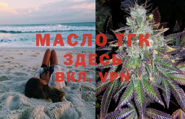 индика Балабаново