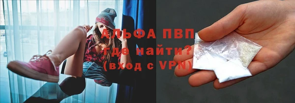 прущие грибы Баксан