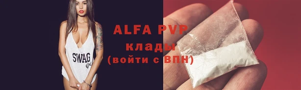 индика Балабаново