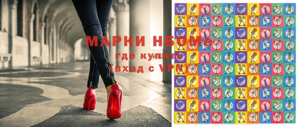 прущие грибы Баксан