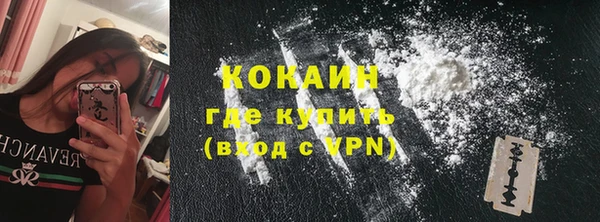 индика Балабаново