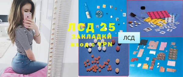 индика Балабаново