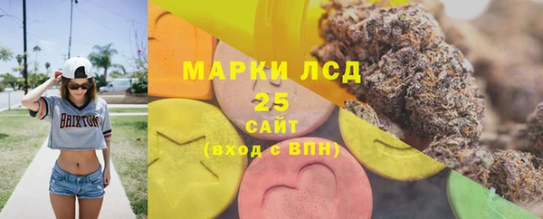 шишки Балахна