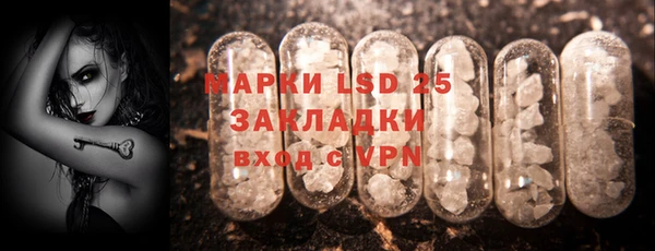 индика Балабаново