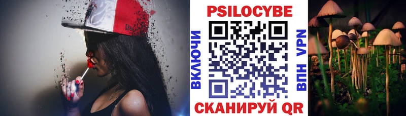 Псилоцибиновые грибы MAGIC MUSHROOMS Новозыбков
